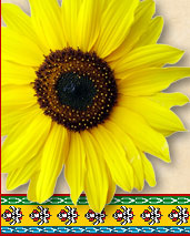 Mathieu et Aurélie se marient